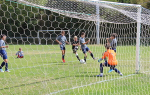 5d875fc914833_IMG1663.JPG