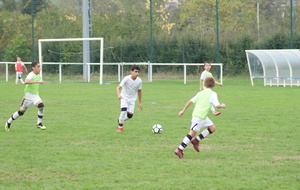 5db70d867610b_DSC07424.JPG