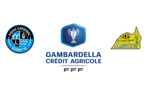 COUPE GAMBARDELLA