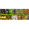 Daniel Ville et Fils