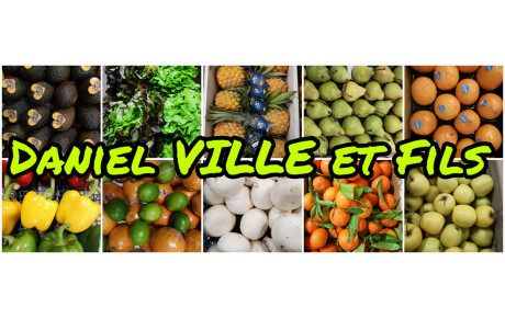 Daniel Ville et Fils